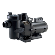 Jandy Pump 1HP Single Speed